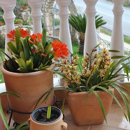 Amaryllis House Διαμέρισμα Πάργα Εξωτερικό φωτογραφία