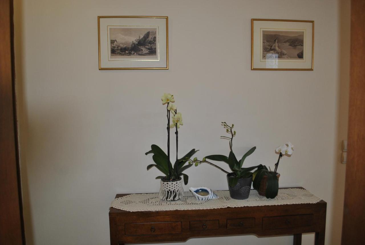Amaryllis House Διαμέρισμα Πάργα Εξωτερικό φωτογραφία