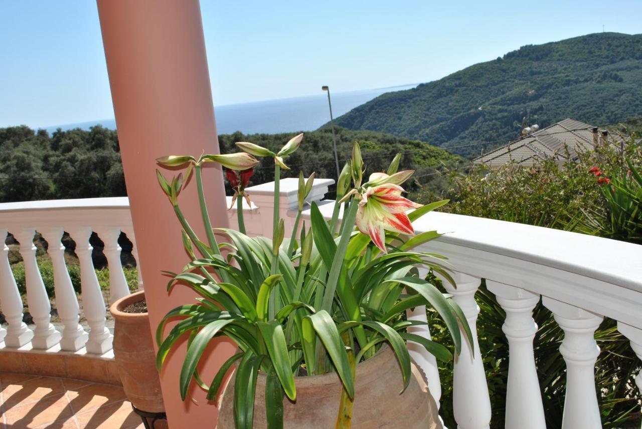 Amaryllis House Διαμέρισμα Πάργα Εξωτερικό φωτογραφία